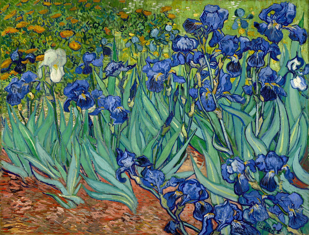 Irises de Van Gogh